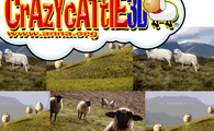 Play Crazy Cattle 3D Online – The Wild Sheep Battle Royale!